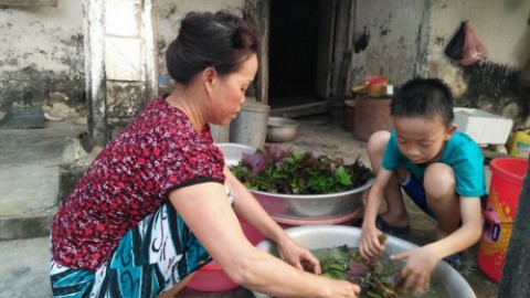 Nông Thế Nam