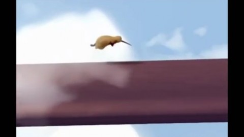 Clip ý nghĩa về bài học cuộc sống