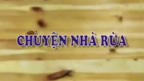 Chuyện nhà rùa