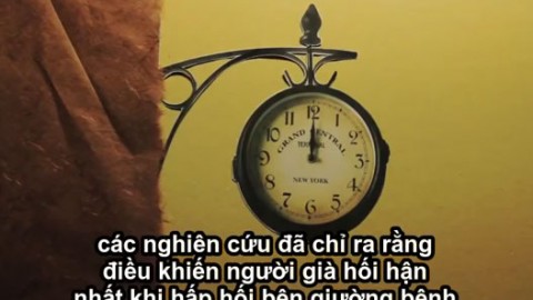 Học sinh lớp 3 giải thích về ý nghĩa cuộc sống