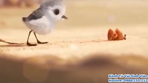 Muốn thành công phải bước qua nỗi sợ hãi